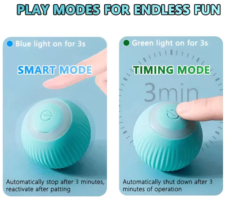 Indoor Interactive Cat Ball