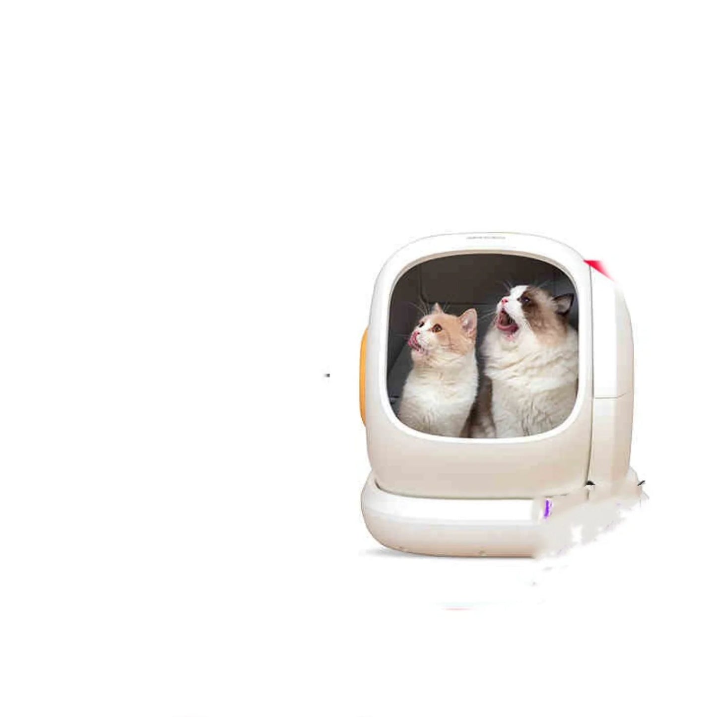 Smart Auto-Clean Cat Litter Station