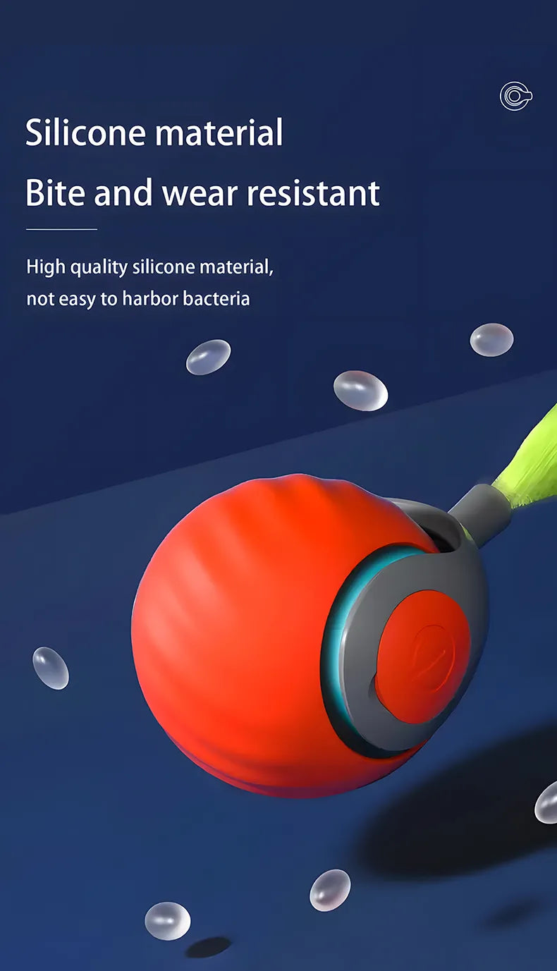 Clever Cat Chase Ball