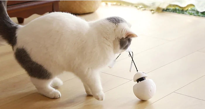 Pet Laser Chase Robot