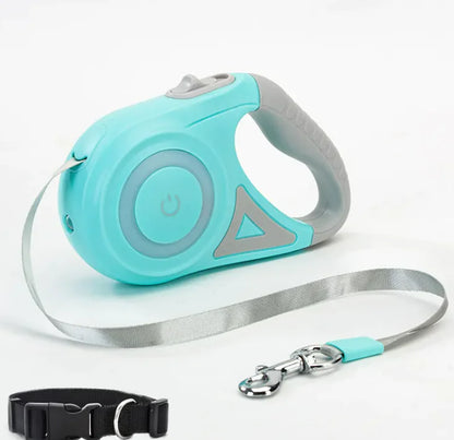 FlexiTrack LED Dog Leash Set