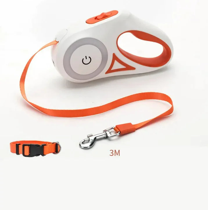 FlexiTrack LED Dog Leash Set