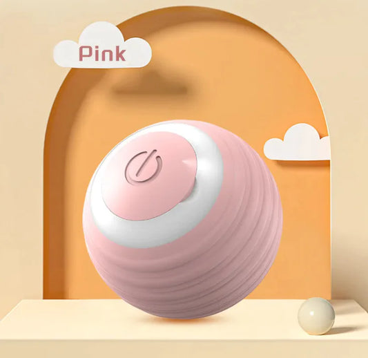 Indoor Interactive Cat Ball