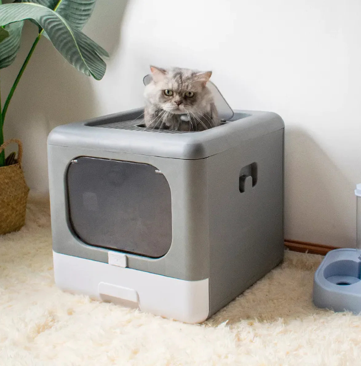 Double Door Cat Litter Box XL