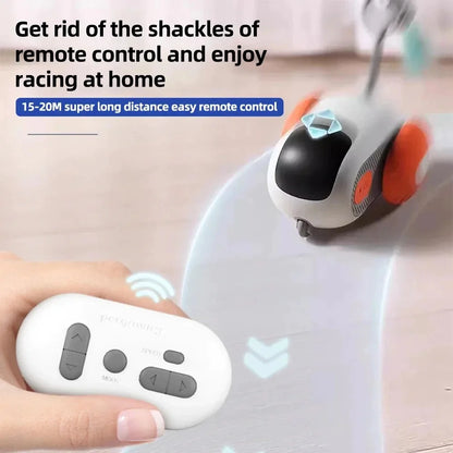 Interactive Pet Chaser