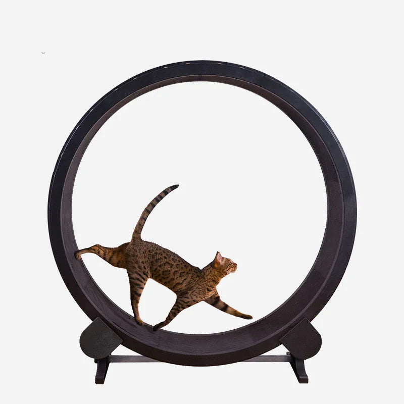 Feline Fit Fun Wheel