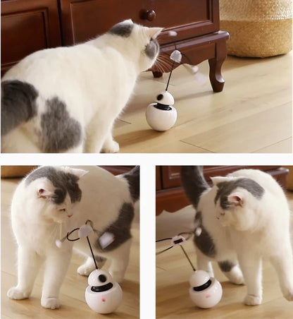 Pet Laser Chase Robot