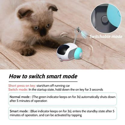 Interactive Pet Chaser