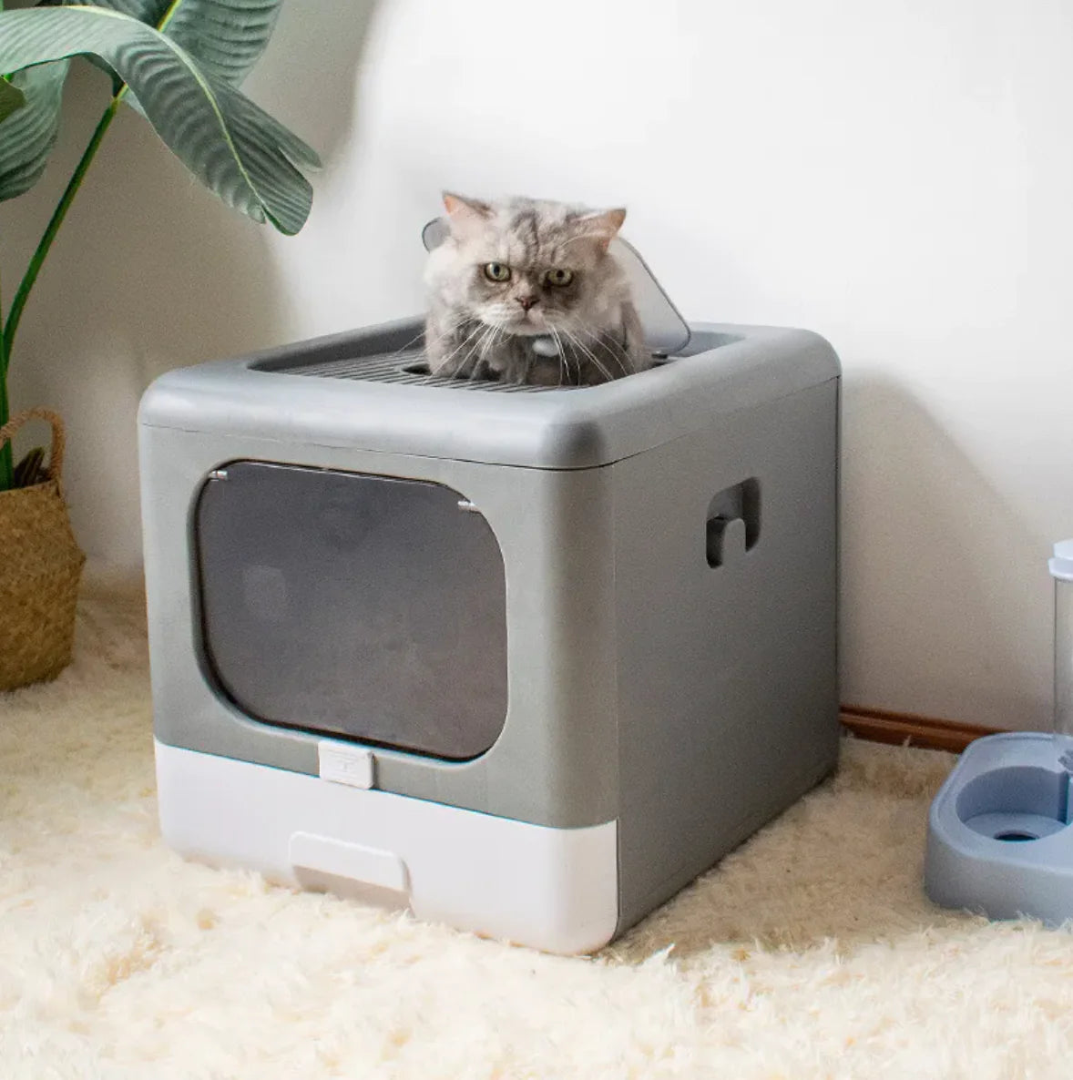 Double Door Cat Litter Box XL