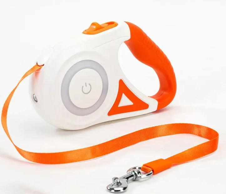 FlexiTrack LED Dog Leash Set