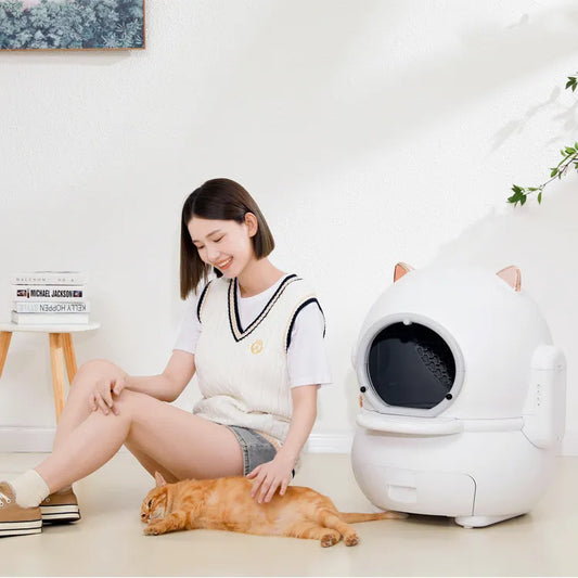 Smart Cat Litter Manager