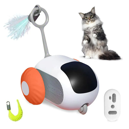 Interactive Pet Chaser