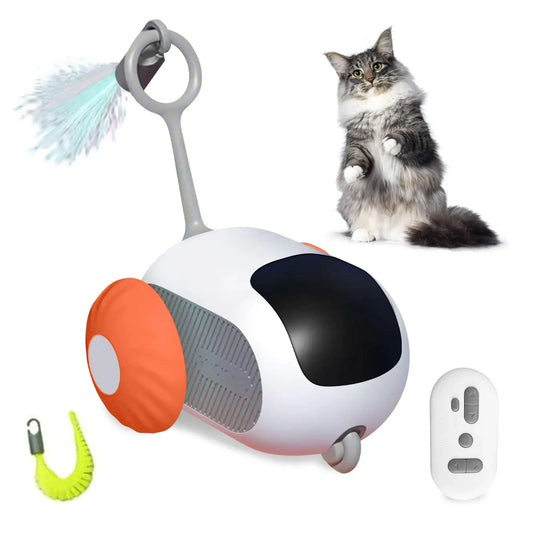 Interactive Pet Chaser