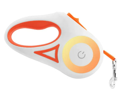 FlexiTrack LED Dog Leash Set