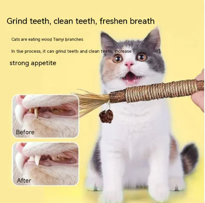 Polygonum Dental Cat Chew