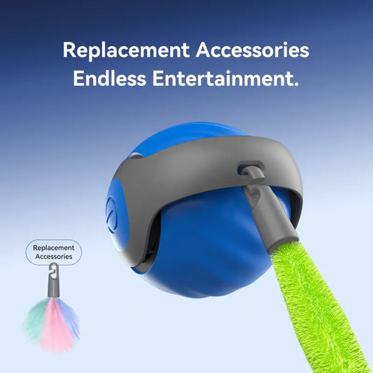 Clever Cat Chase Ball