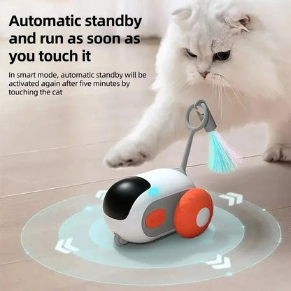Interactive Pet Chaser